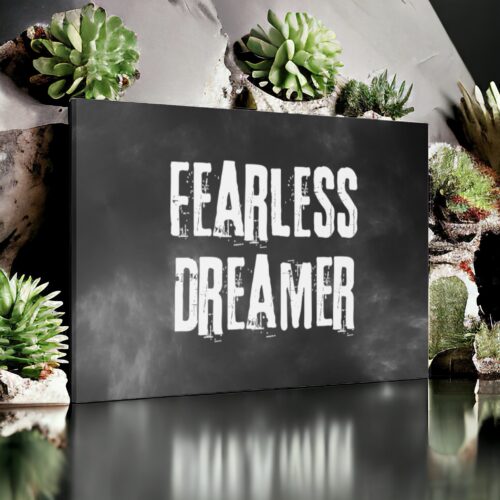 Being a Fearless Dreamer: The Art of Chasing and Catching Your Dreams