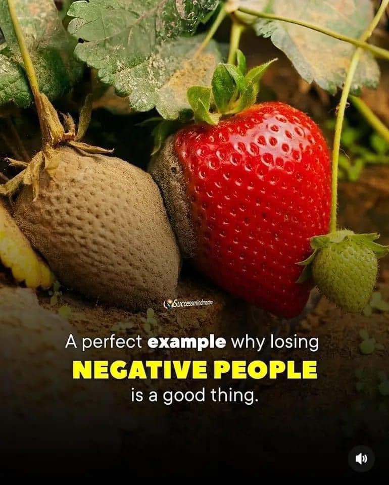 The Ripple Effect of Negativity: The Rotten Strawberry Syndrome